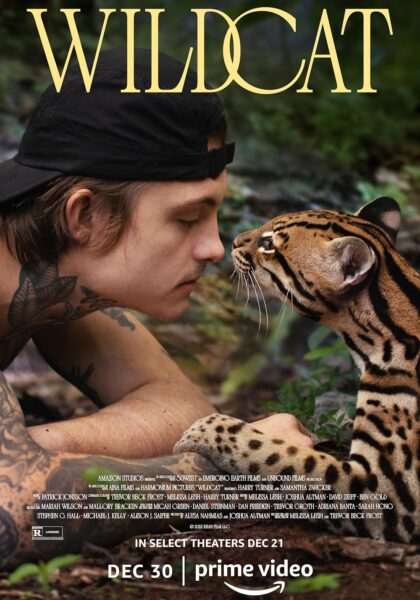 Wildcat